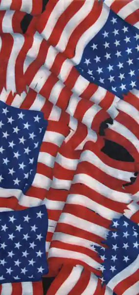 American Flag Neck Tube Blue, Red, White Reducere de preț