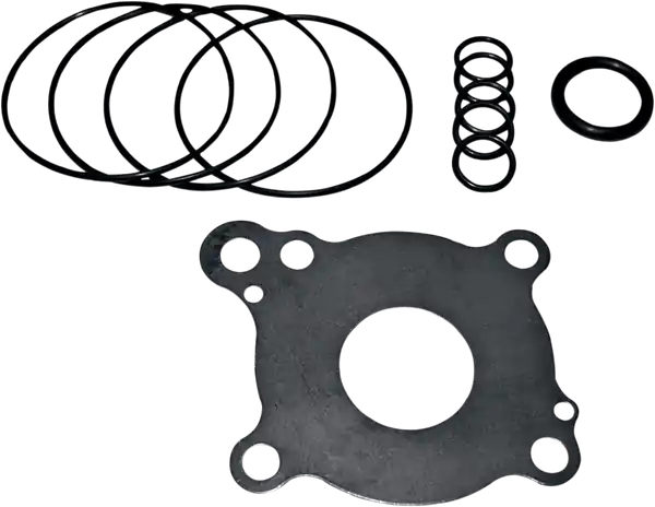 Oil Pump Rebuild Kit Cumpără online