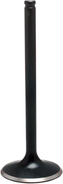 Black Diamond Engine Valve Cumpărături sigure